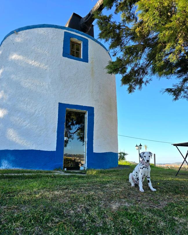 Vila Casal Do Moinho Enxara do Bispo Exteriér fotografie